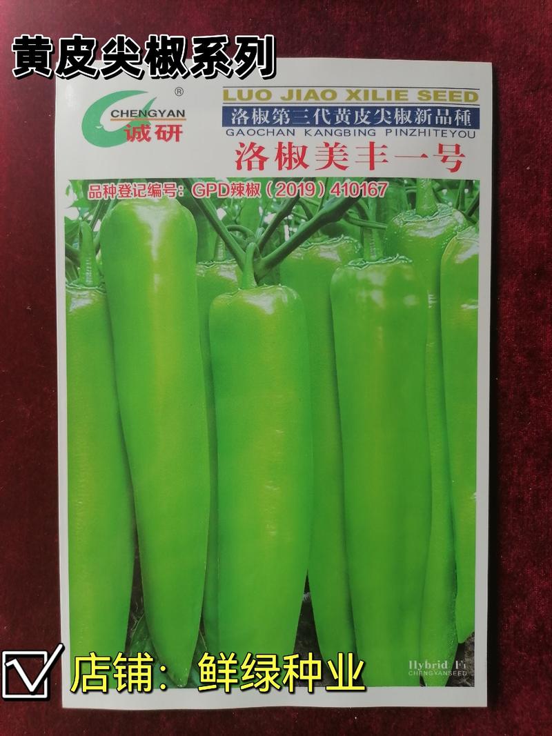 洛椒美丰一号黄皮尖椒种子，色黄绿皮光亮丰产抗性优质