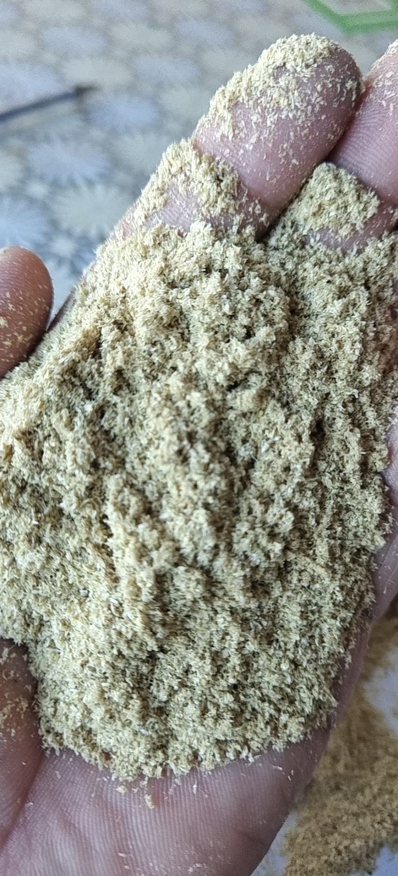 小米糠货源充足量大从优品质保证欢迎电话联系