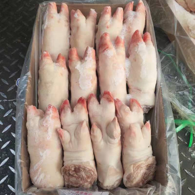 厂家批发冻猪猪蹄子带筋猪手量大优惠