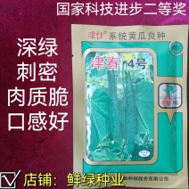 国家科技进步二等奖津春4号黄瓜良种深绿色刺密肉质脆口感好