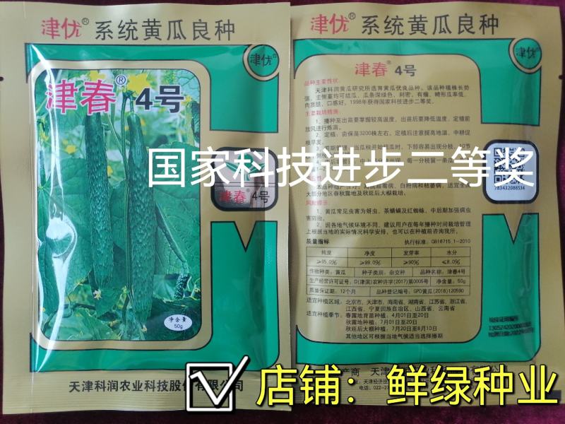 国家科技进步二等奖津春4号黄瓜良种深绿色刺密肉质脆口感好