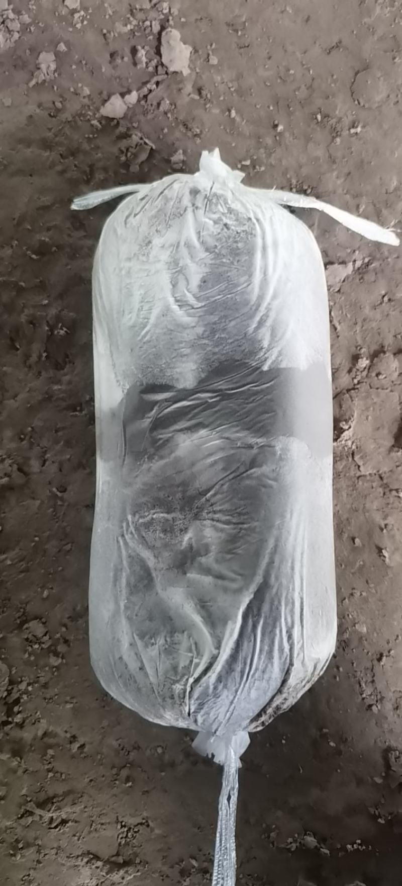 灵芝菌种，赤芝菌棒，赤芝菌包，产地直销源头厂家。