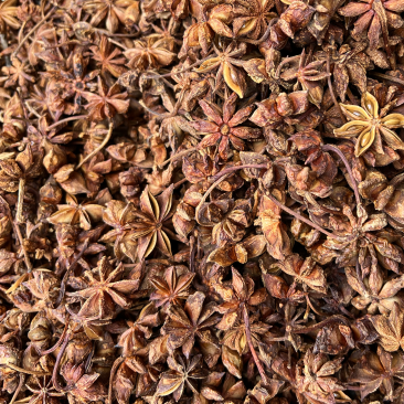 广西大红八角茴香颜色好