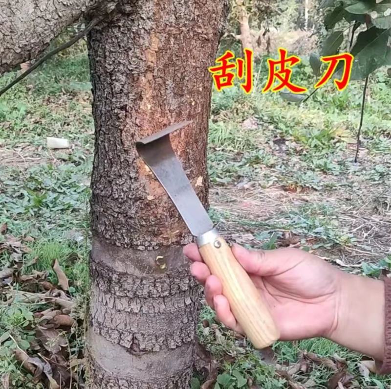 园林果树刮皮刀园林绿化树木粗皮翘皮刮除刀