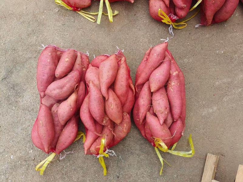 西瓜红，烟25大量上市，产地直供，质量有保证，可代发全国