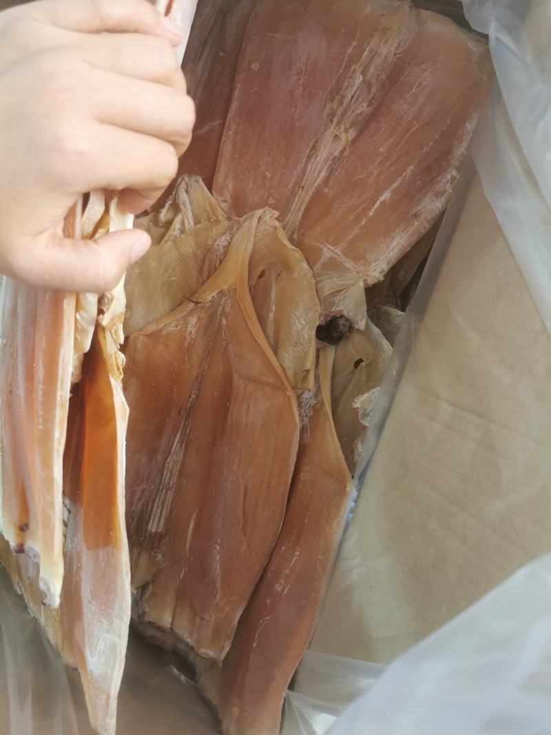 无头鱿鱼