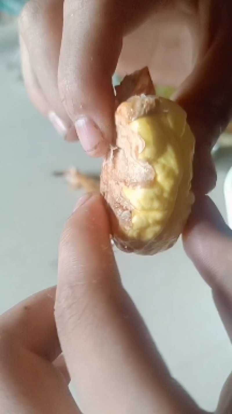 带皮板粟仁。真空包装，干净卫生，手工精挑，未清洗，原味。