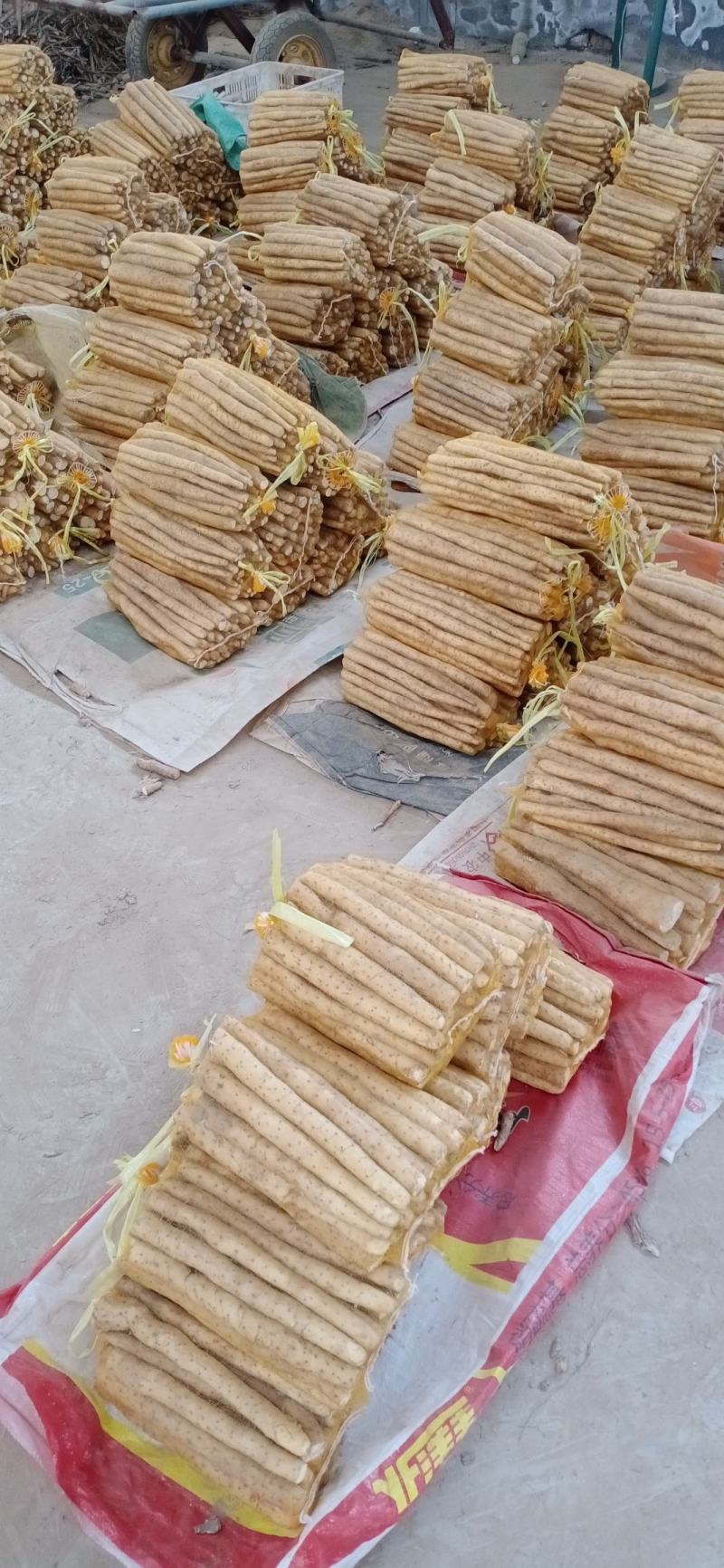 河北小白嘴白山药