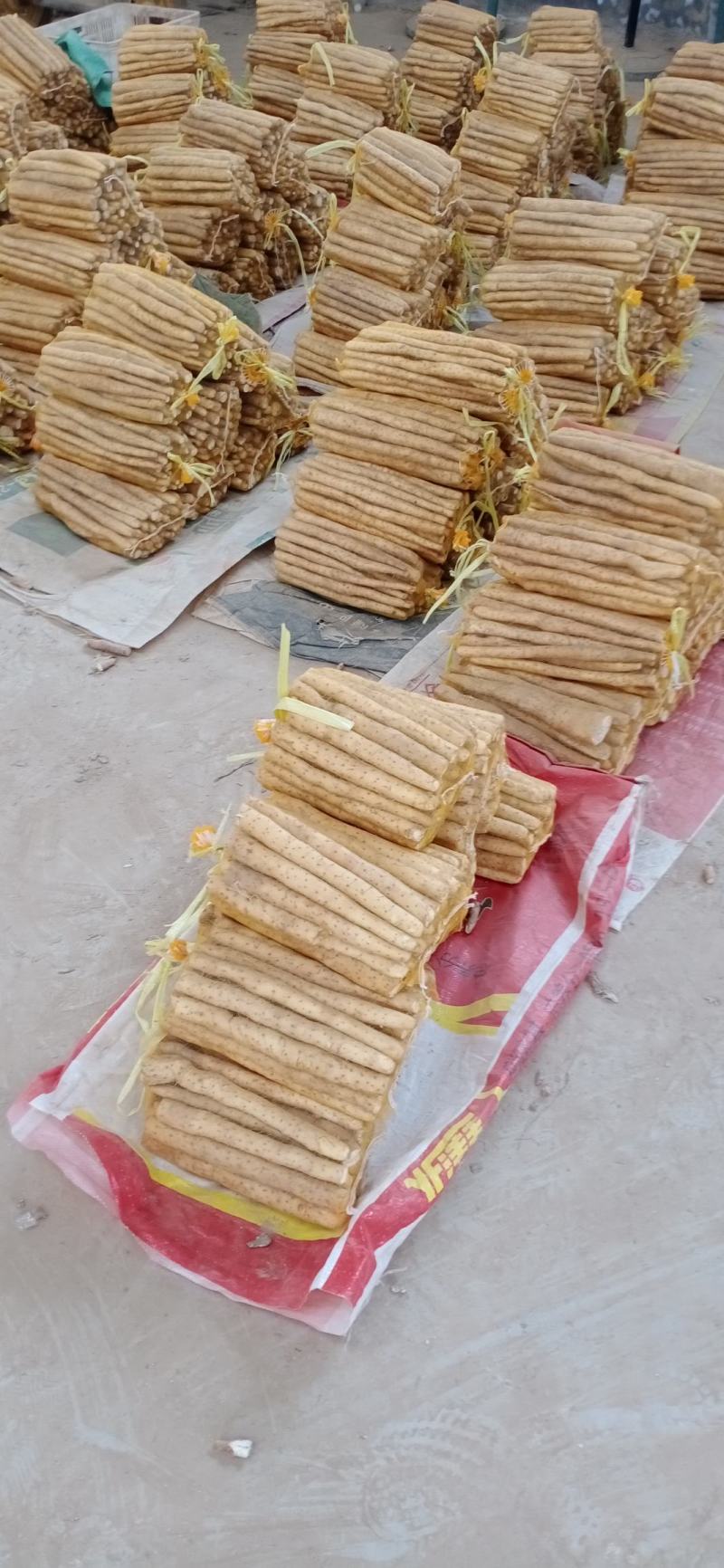 河北小白嘴白山药
