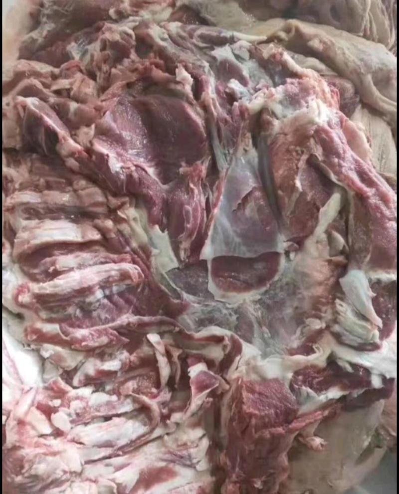 羊板肉羊全肉羊板肉羊板肉羊板肉羊板肉羊板肉羊板肉