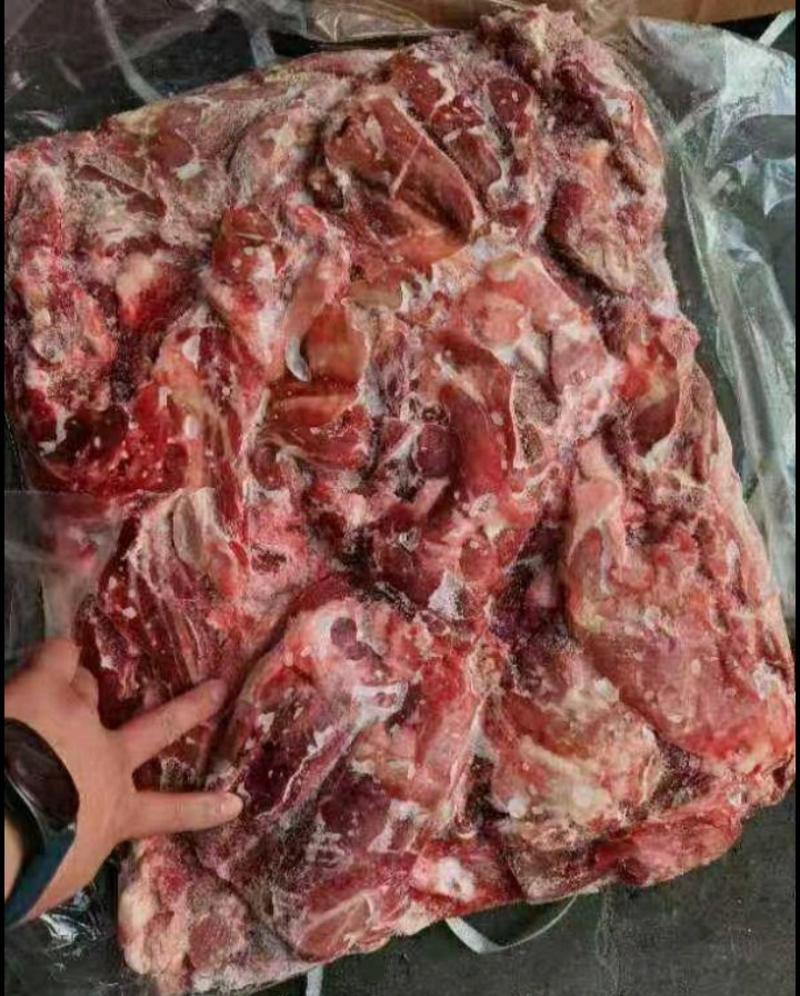 羊板肉羊全肉羊板肉羊板肉羊板肉羊板肉羊板肉羊板肉