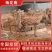 梅花鹿养殖繁育基地梅花鹿鹿鞭梅花鹿鹿茸梅花鹿幼崽