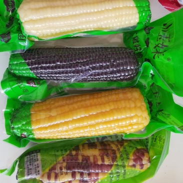 糯玉米厂家