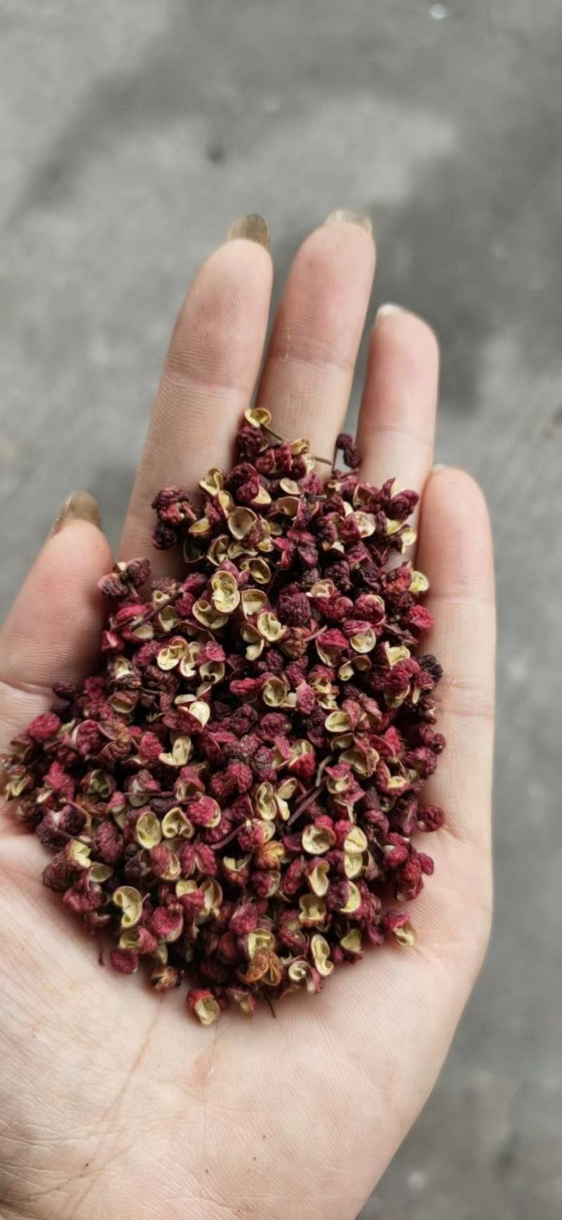 汉源花椒，江津花椒，各种花椒，现货供应价格美丽