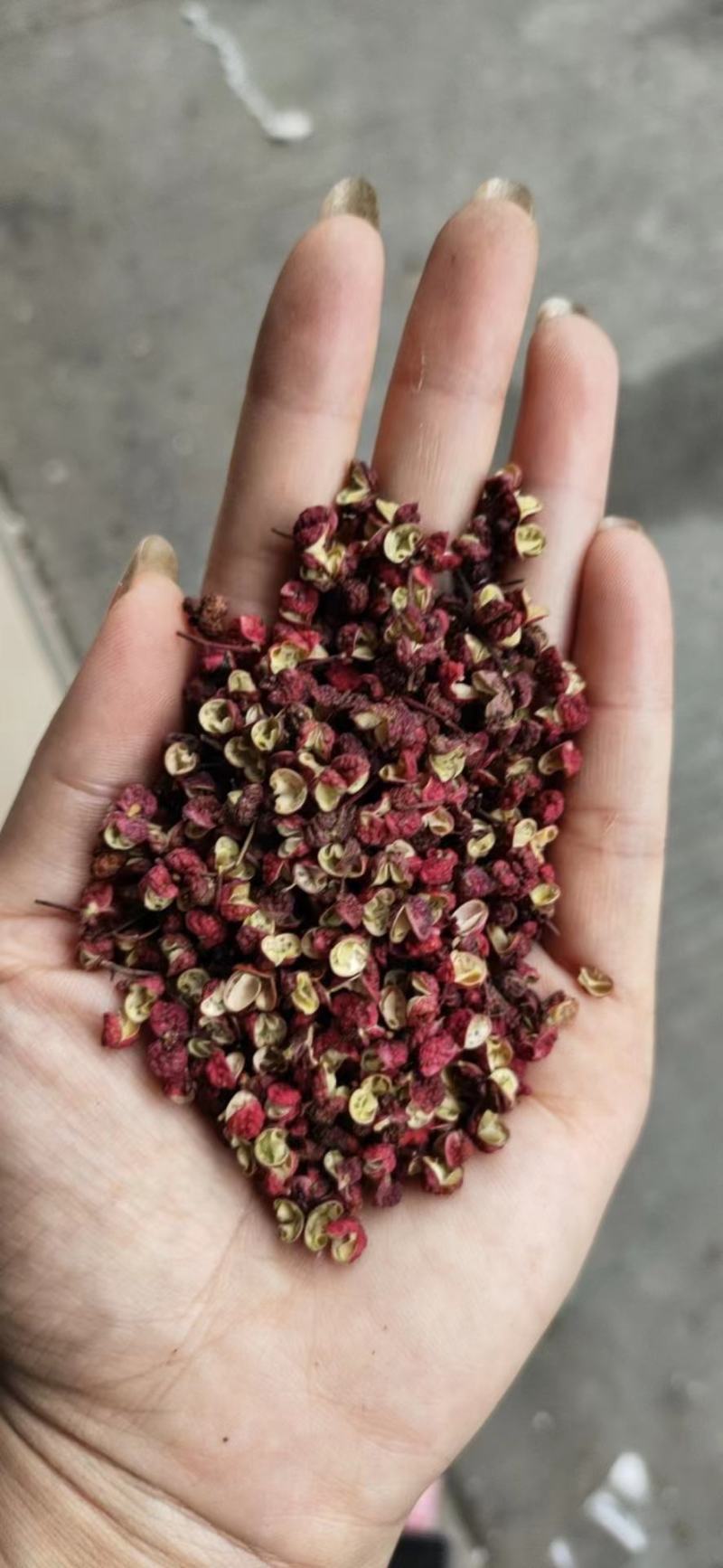 汉源花椒，江津花椒，各种花椒，现货供应价格美丽
