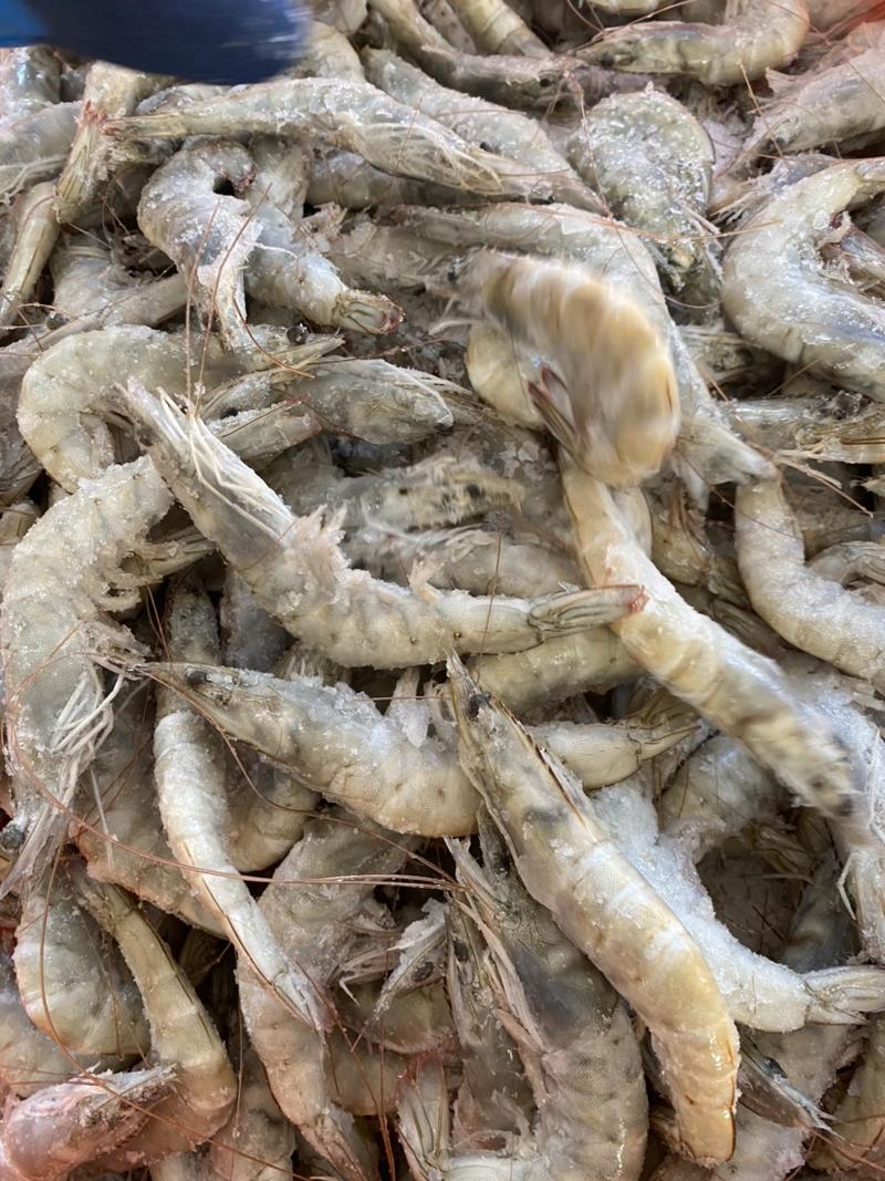 大虾桑塔南美白对虾印尼对虾9.9公斤大虾对虾厂家批发
