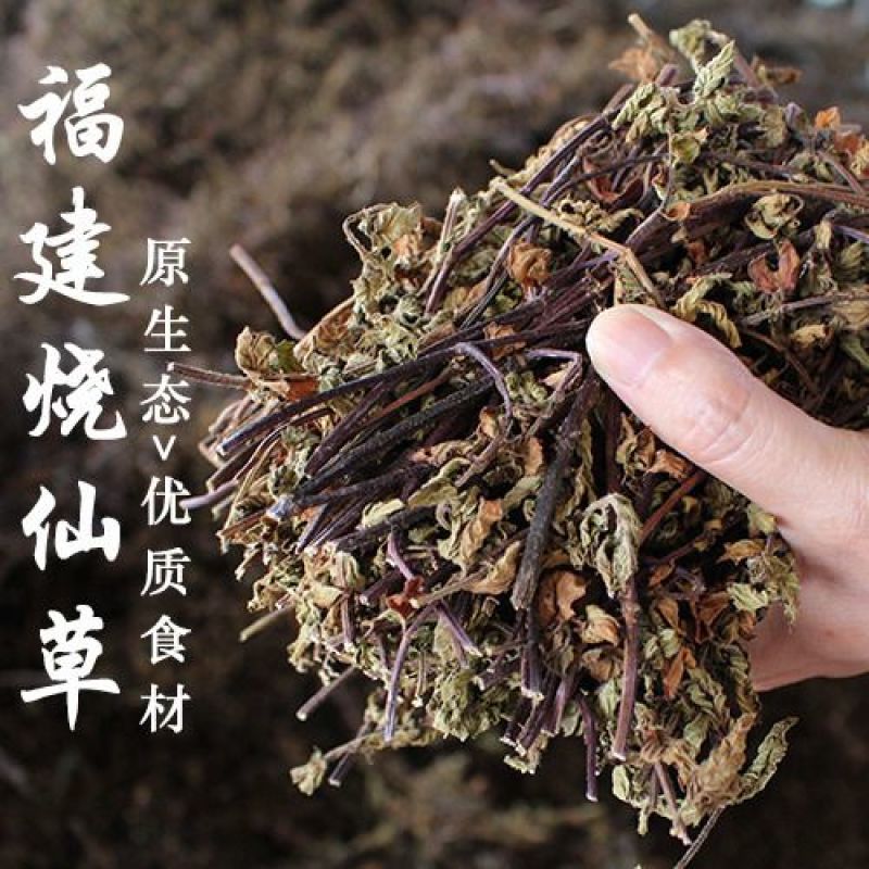 凉粉草黑凉粉草高胶质仙人草烧奶茶果冻布丁烧仙草干龟苓膏