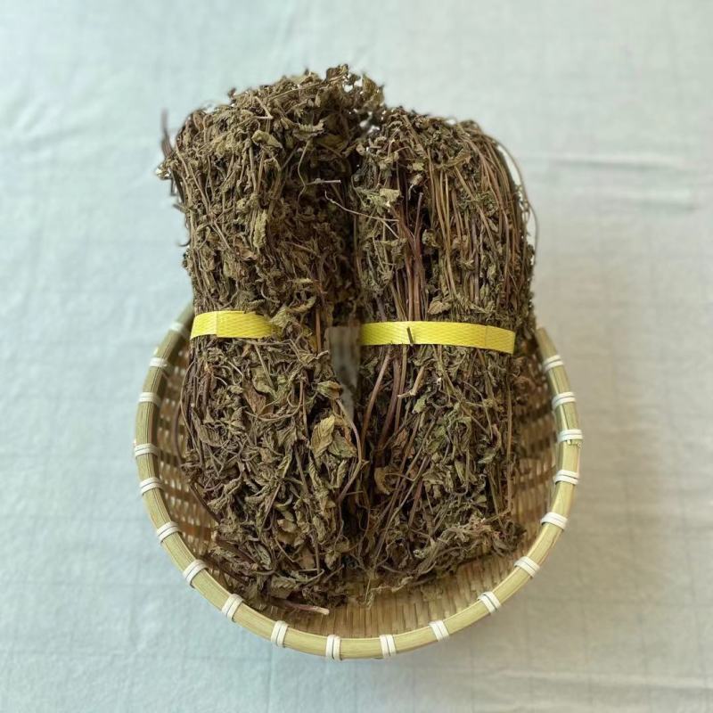 凉粉草黑凉粉草高胶质仙人草烧奶茶果冻布丁烧仙草干龟苓膏