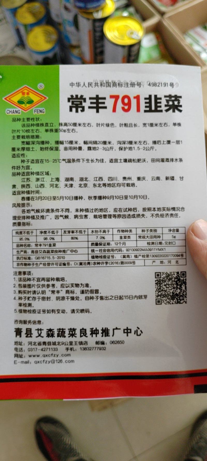 大叶韭菜种子韭菜种子
