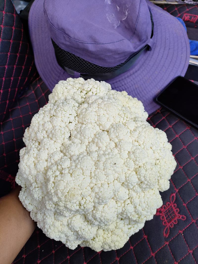 云南高原松花有需要的老板欢迎来电基地直发