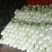 夏阳大白菜，大量有货，适合超市批发市场等等
