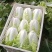 夏阳大白菜，大量有货，适合超市批发市场等等
