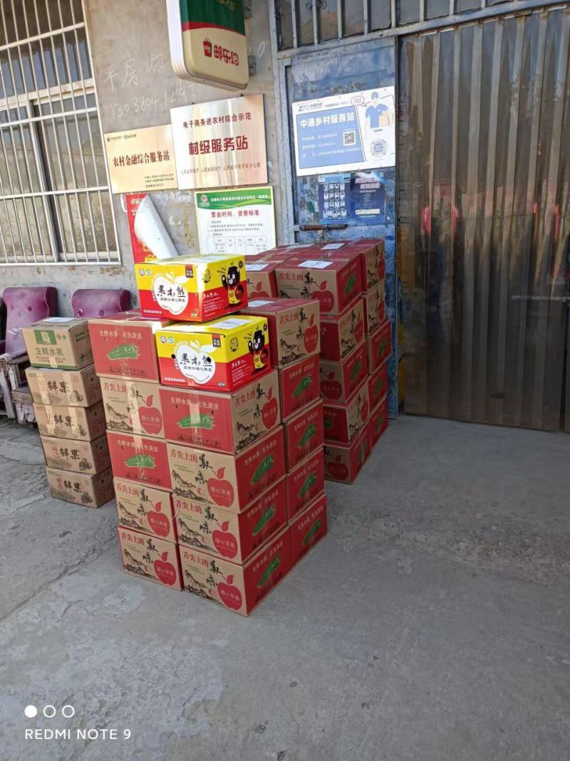 临猗坡上冰糖心精品红富士纸加膜苹果货源充足脆甜多汁