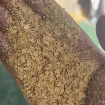 小麦麸皮