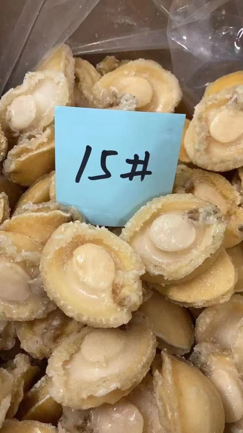 黄金鲍，九孔鲍，鲍鱼肉餐饮酒店专用规格齐全品质保证