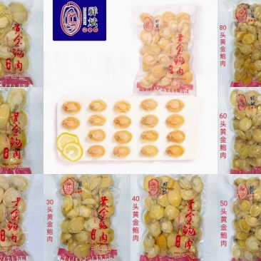 黄金鲍，九孔鲍，鲍鱼肉餐饮酒店专用规格齐全品质保证
