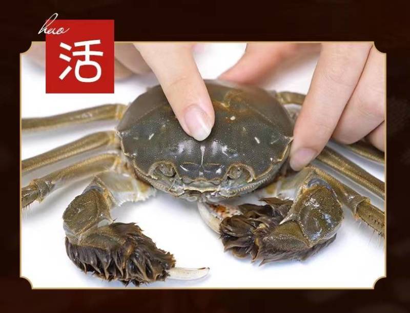 螃蟹湖北精品大闸蟹规格可选一手货源全国发货可混批