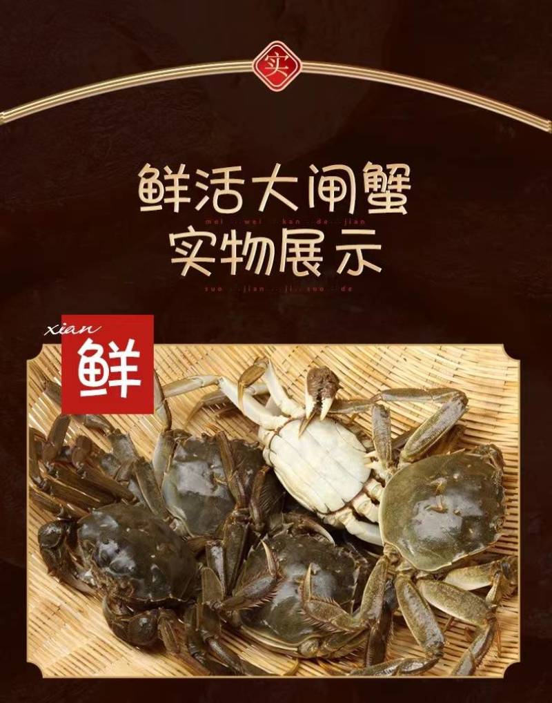 螃蟹湖北精品大闸蟹规格可选一手货源全国发货可混批