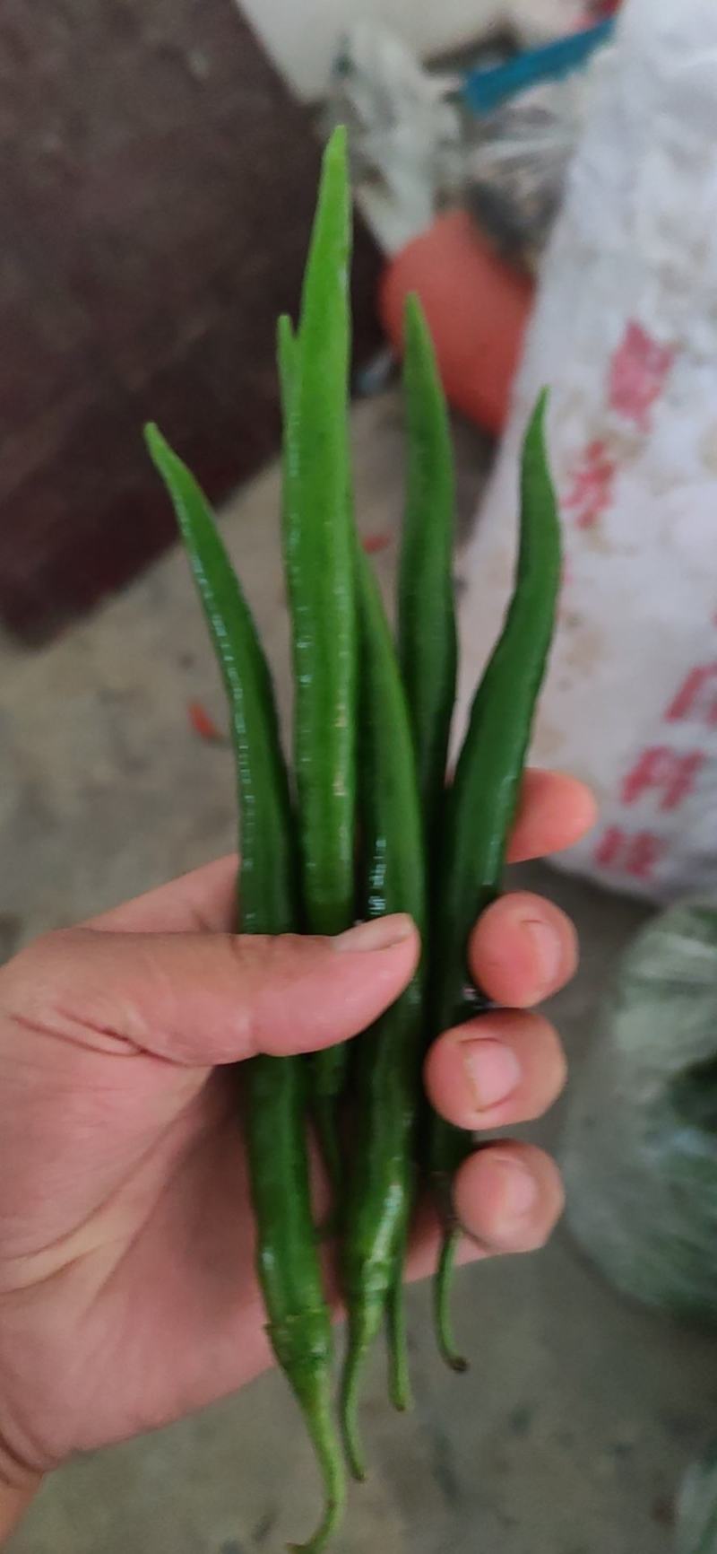 去把青椒，价格便宜，实惠，好货不等人，诚信经营