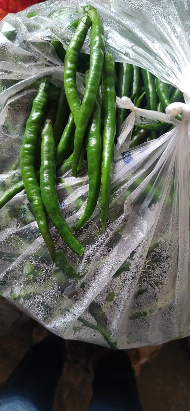 去把青椒，价格便宜，实惠，好货不等人，诚信经营