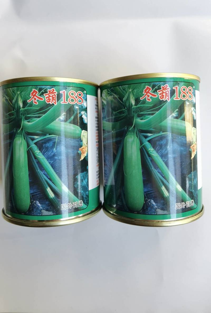 冬葫188西葫芦种子越冬耐寒耐低温翠绿油亮抗病茄瓜