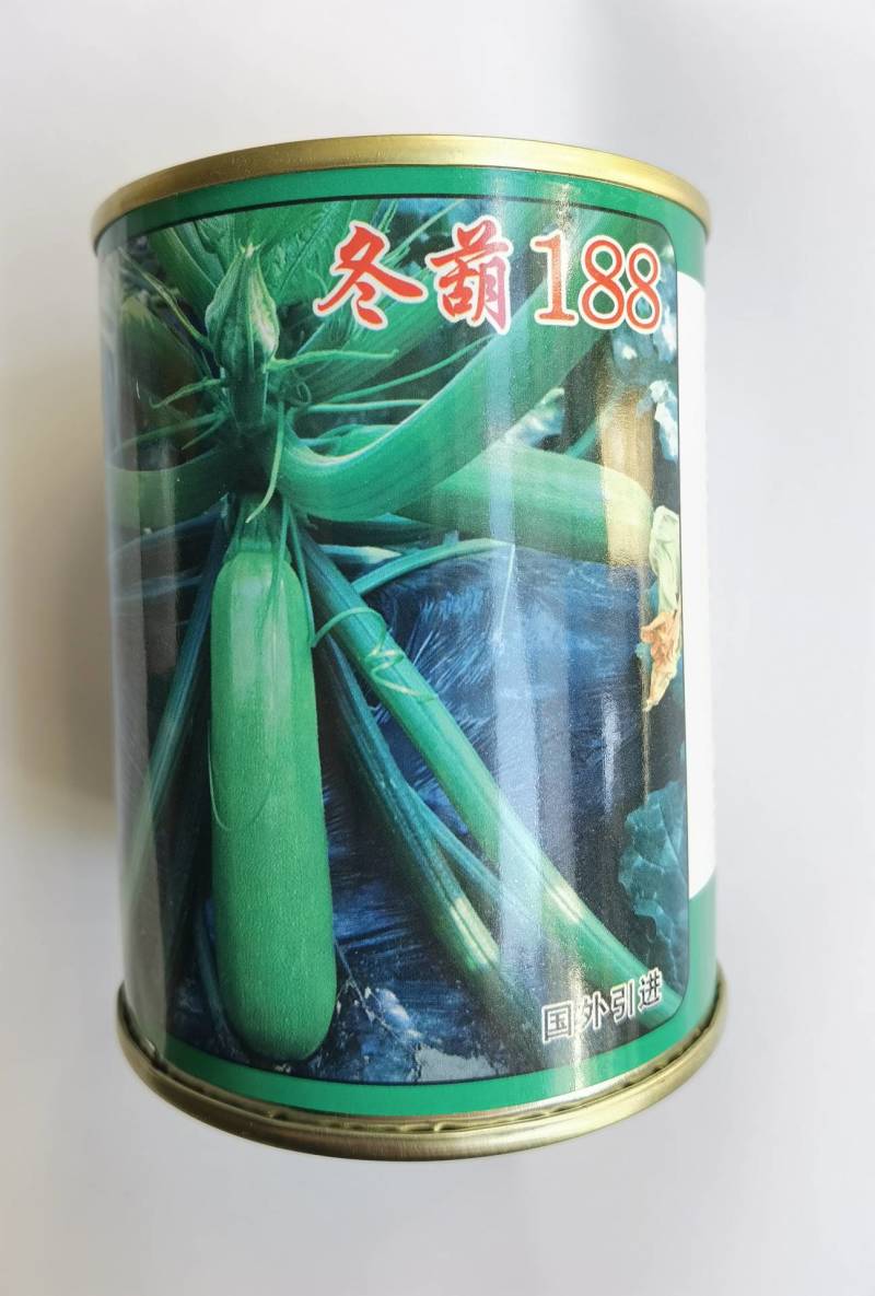 冬葫188西葫芦种子越冬耐寒耐低温翠绿油亮抗病茄瓜