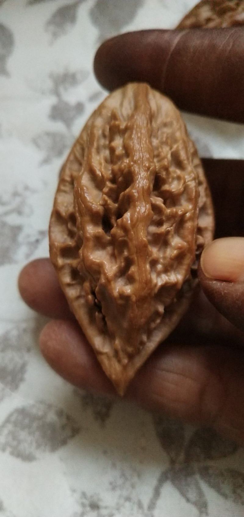 野生秋子