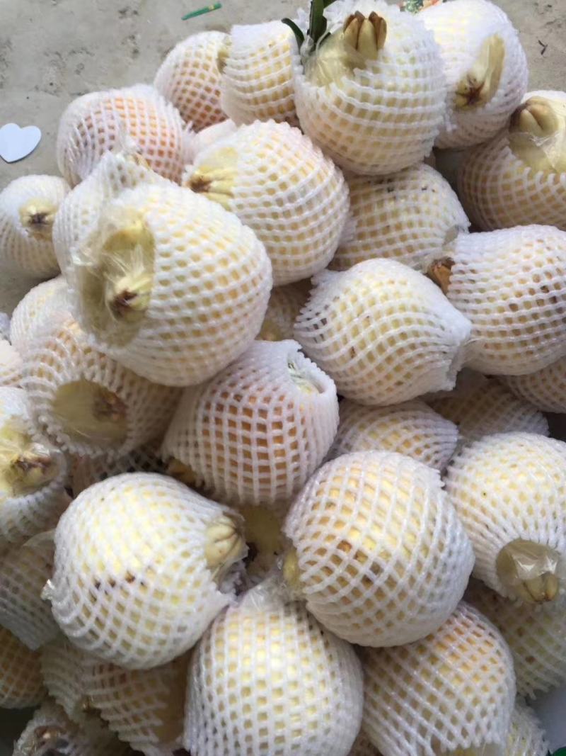 怀远石榴新鲜白花玉石籽皮薄肉肥正宗特产当季水果10斤整箱