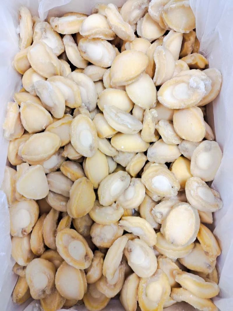 黄金鲍，九孔鲍，鲍鱼肉餐饮酒店专用规格齐全品质保证