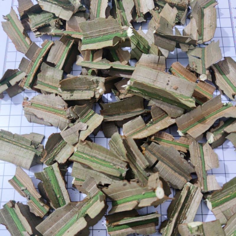 产地大量批发野生中药材鬼箭羽新鲜枝条带大羽片