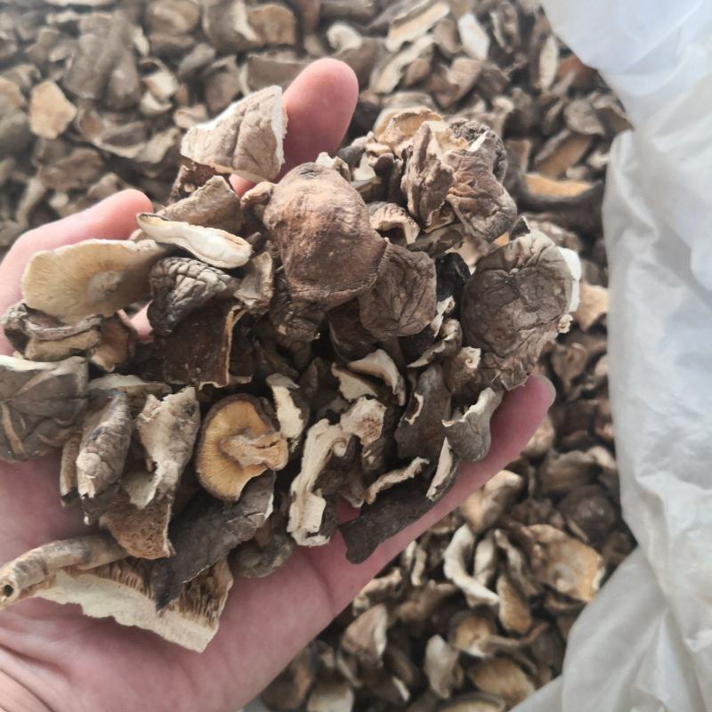 香菇破片干净无杂质肉质肥美价格优惠有需要电话咨询