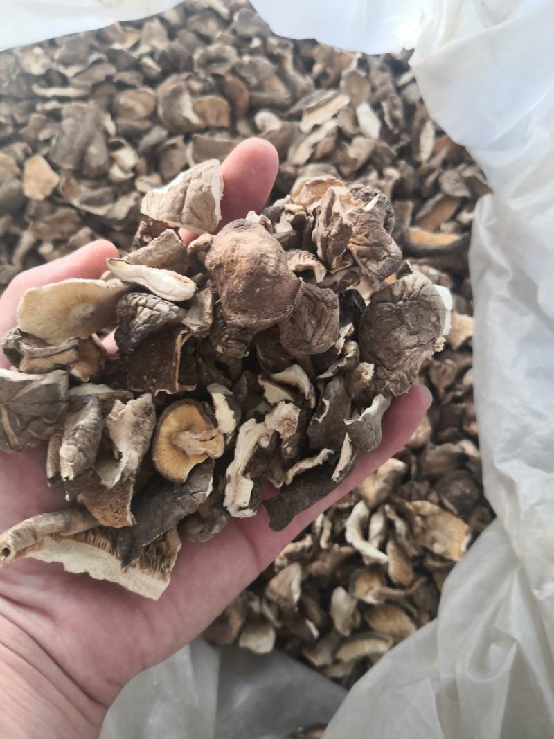 香菇破片干净无杂质肉质肥美价格优惠有需要电话咨询