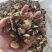 香菇破片干净无杂质肉质肥美价格优惠有需要电话咨询