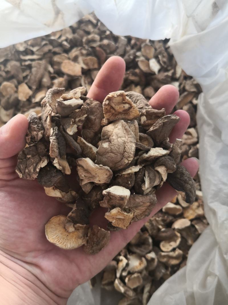 香菇破片干净无杂质肉质肥美价格优惠有需要电话咨询