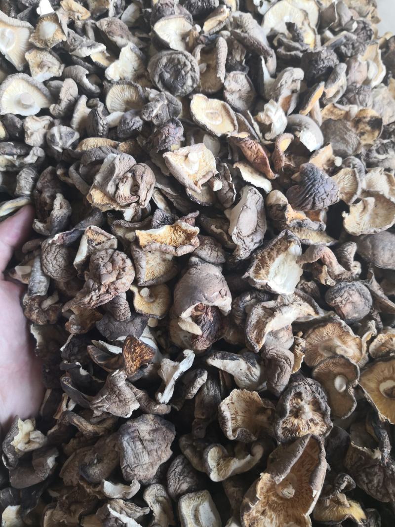 香菇破片干净无杂质肉质肥美价格优惠有需要电话咨询