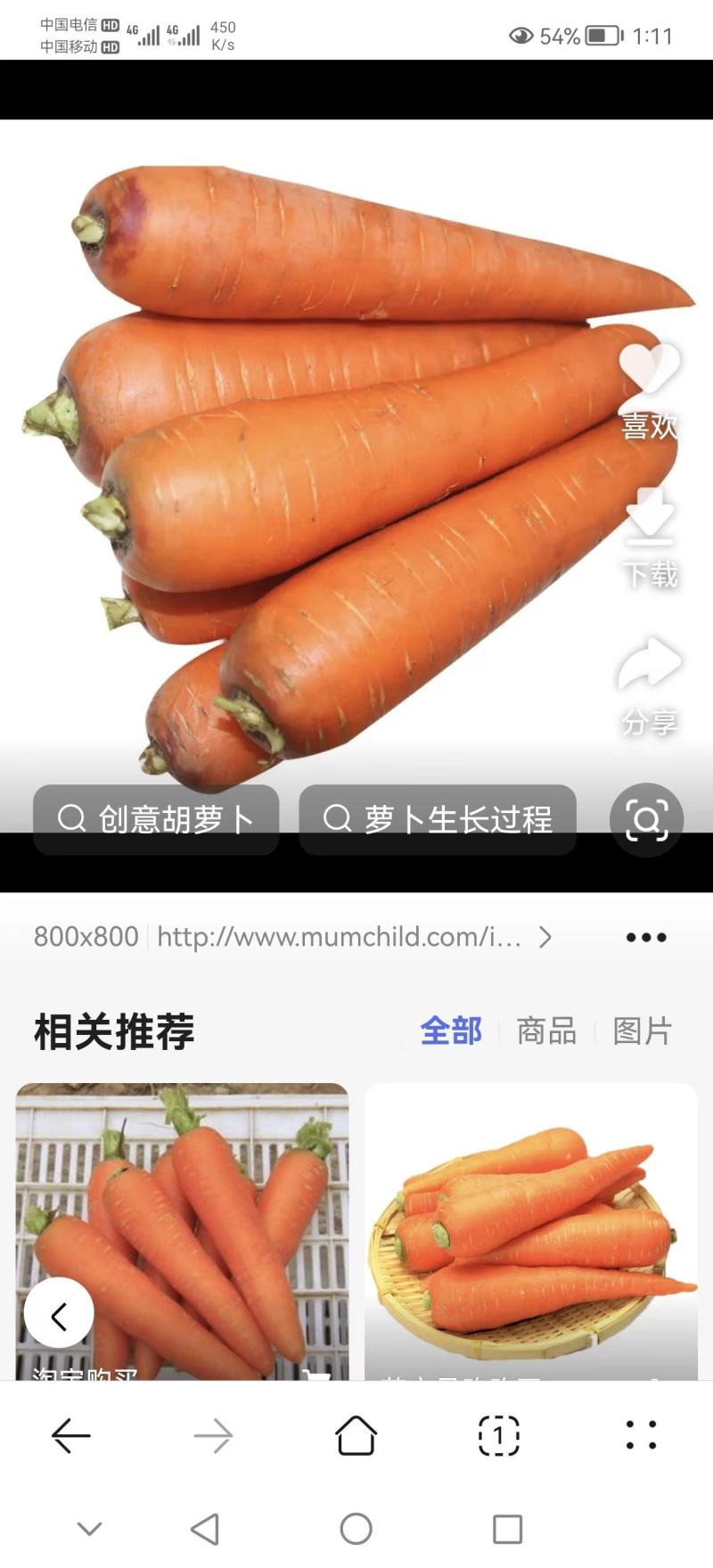 红萝卜。黄萝卜