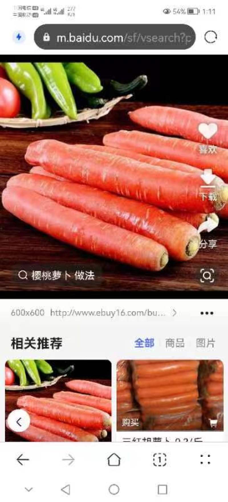 红萝卜。黄萝卜