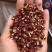 茂县大红袍花椒