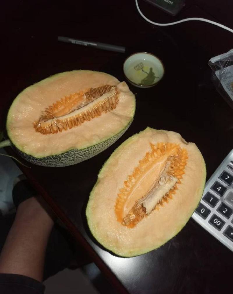 西州蜜，精品哈密瓜，品质好，价格优，代发全国各地