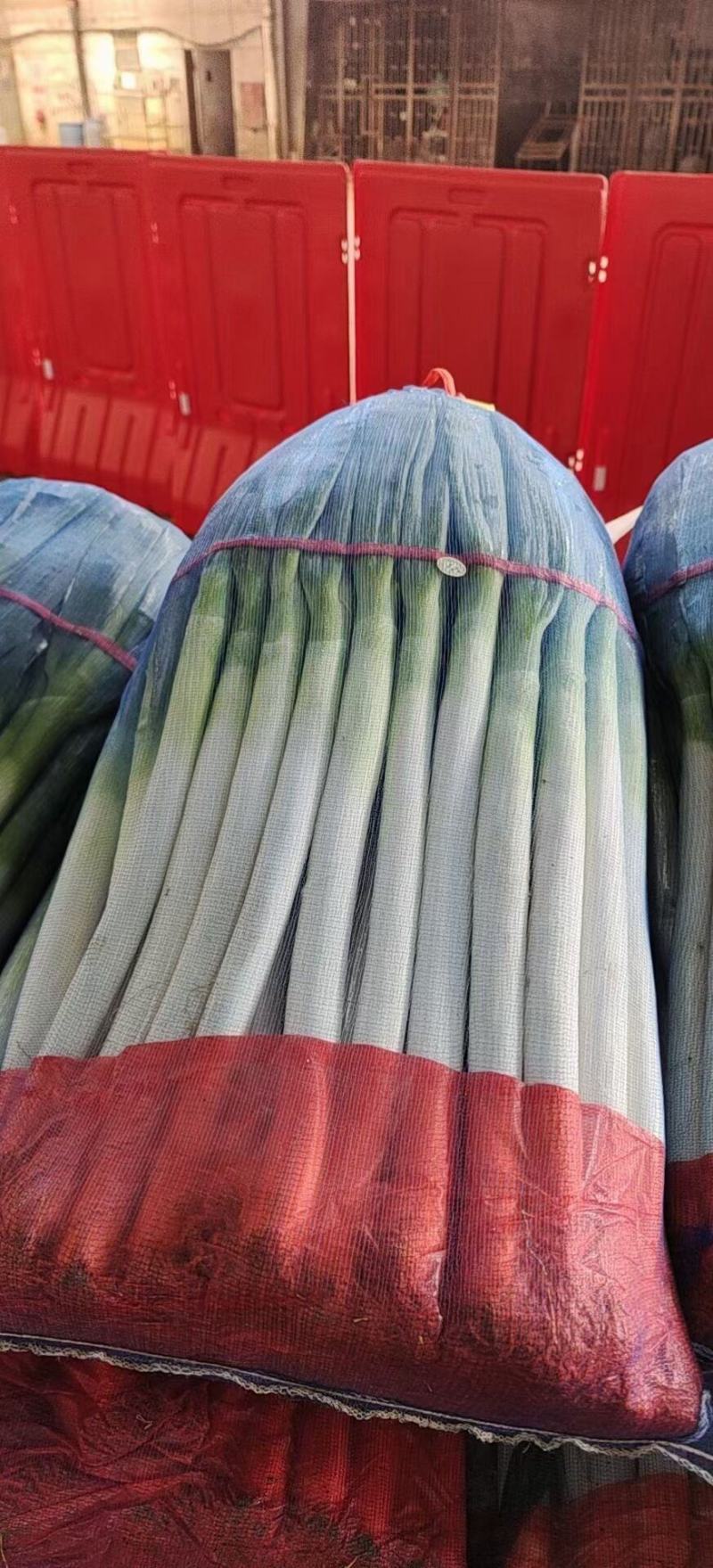 （推荐）山东铁杆大葱基地:专业加工净葱可视频看货